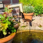 فندق Waldschloesschen