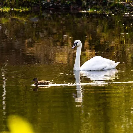 Waldschloesschen Brotterode