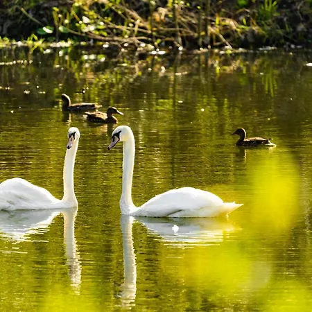 Waldschlösschen Hotel Brotterode