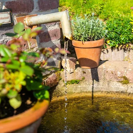 Hotel Waldschlösschen