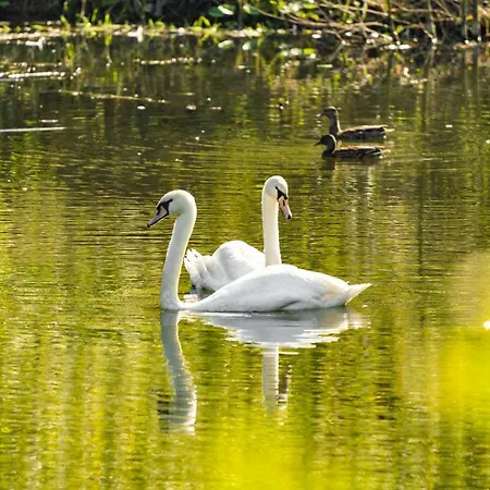 Waldschlösschen * Brotterode
