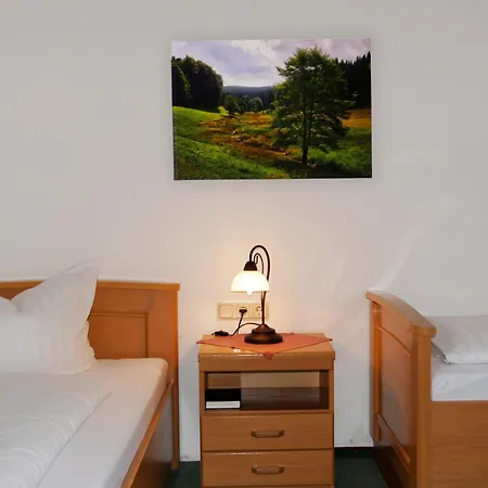 Hotel Waldschloesschen *
