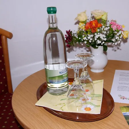 Hotel Waldschloesschen *