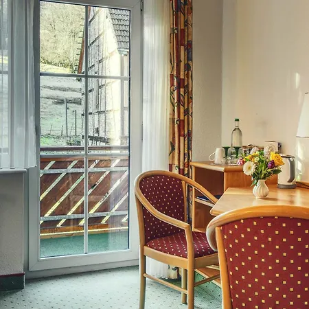 Hotel Waldschloesschen *