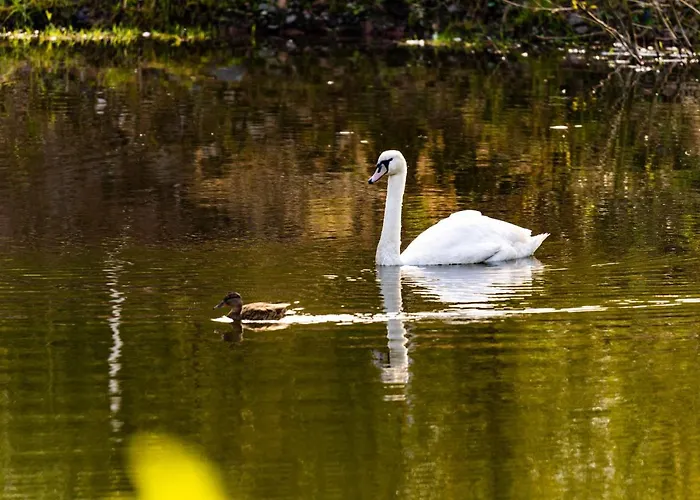 Waldschlösschen Brotterode