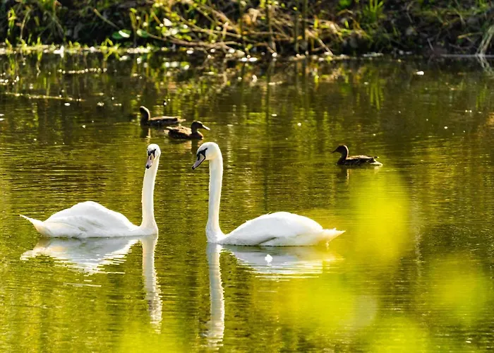Waldschloesschen Otel Brotterode