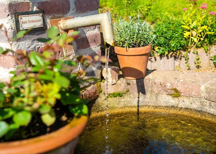 Hotel Waldschlösschen