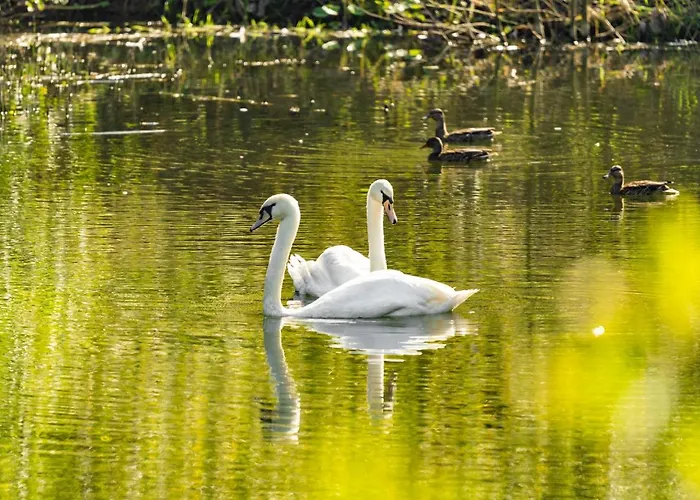 Waldschlösschen * Brotterode